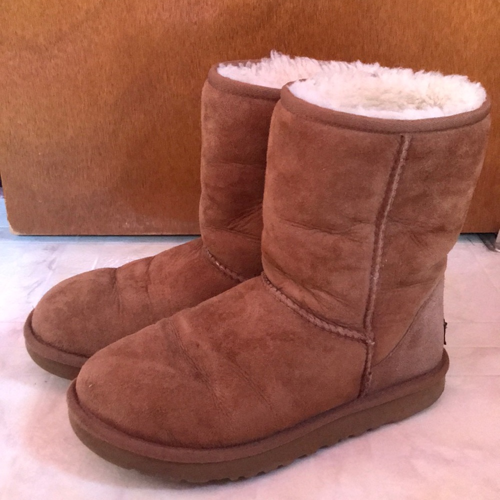 Chestnut colored classic short UGGS